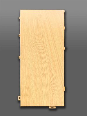 Artigianato superiore Veneer di alluminio che eleva l'estetica architettonica a nuove vette